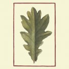 Vintage Leaf IV by  Vision Studio 9.5x13 Art Print Poster 294061