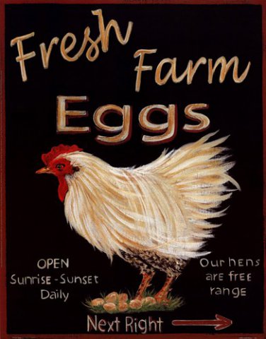 Fresh Eggs by Grace Pullen 11x14 Art Print Poster 425037
