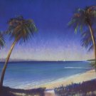 Tropical Path II by Fred Fieber 24x36 Art Print Poster 745485