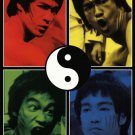 Bruce Lee - Colors by  Unknown 24x36 Art Print Poster 908928