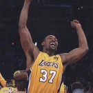 Ron Artest - 2010 NBA Finals Game 7 Celebration (#18) by  Unknown 8x10 Art Print Poster 718088