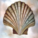 Scallop by David Bromstad 18x24 Art Print Poster 752193