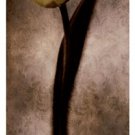 Damask Tulip II by Christine Zalewski 13x31 Art Print Poster 865309