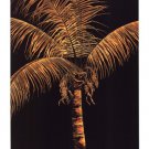 Palm Oro by Robert Dunahay 14x20 Art Print Poster 729473