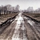 Picket Path by Todd` Ridge 36x12 Art Print Poster 727185