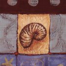 Nautilus by Wendy Russell 8x10 Art Print Poster 657312