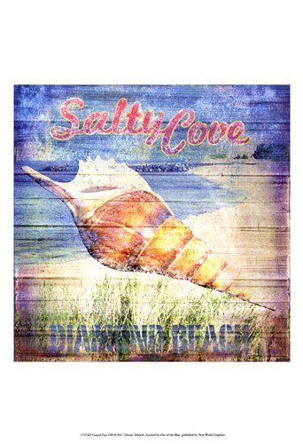 Coastal Fun VIII by Denise Tedeschi 13x19 Art Print Poster 865969
