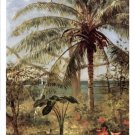 Palm Tree, Nassau 1892 by Albert Bierstadt 24x30 Art Print Poster 747750