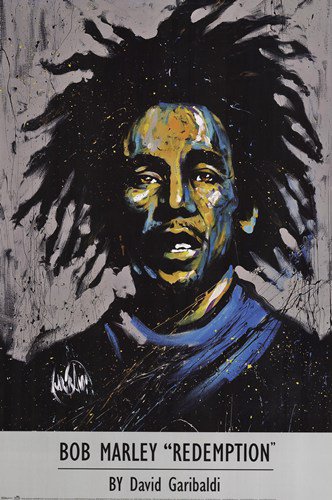 Bob Marley by David Garibaldi 24x36 Art Print Poster 743950
