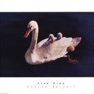 Free Ride by Andrew Basari 24x18 Art Print Poster 672345