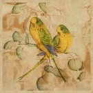 Songbirds I by John Butler 19x19 Art Print Poster 534313