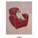 Bob The Bull Dog by Carol Dillon 16x20 Art Print Poster 179186
