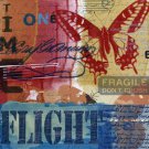 Butterfly II by Andrew Cotton 20x20 Art Print Poster 826501