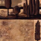 Tranquil Repose II by Mary Calkins 12x16 Art Print Poster 687901
