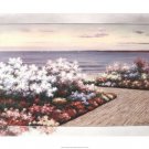 Water's Edge by Diane Romanello 34x24 Art Print Poster 785743