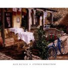 Blue Bicycle by Stephen Bergstrom 20x16 Art Print Poster 506814