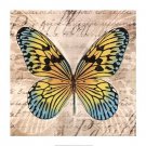 Butterflies I by Tandi Venter 27.5x27.5 Art Print Poster 776660