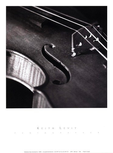 Violin by Keith Levit 9x12 Art Print Poster 194505