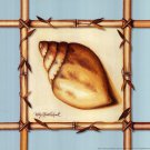 Bamboo Seashell I by Kathy Middlebrook 10x10 Art Print Poster 870521