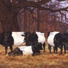 Dutch Belt Haven by Bonnie Mohr 16x8 Art Print Poster 703234