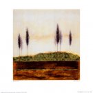 Sweet Wilderness by Richard Barrett 15.750x15.750 Art Print Poster 131168