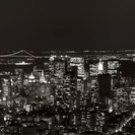 New York-Lower Manhattan (B&W) by Jerry Driendl 38x13 Art Print Poster 115205