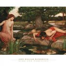 Echo and Narcissus, c.1903 by John William Waterhouse 31.5x23.5 Art Print Poster 218674