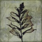 Flora I by Bert Myers 12x12 Art Print Poster 702394