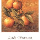 Orange Branch by Linda Thompson 11.750x15.750 Art Print Poster 229716