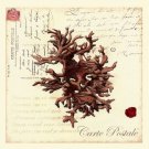 Small Romance du Mer III by  Vision Studio 13x19 Art Print Poster 862696