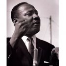 MLK by Ted Williams 16x20 Art Print Poster 794220