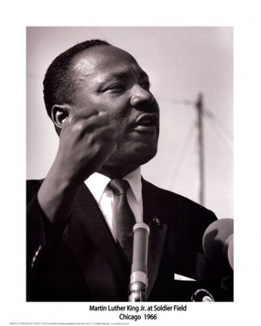 MLK by Ted Williams 16x20 Art Print Poster 794220