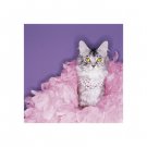 Princess by  Unknown 15.750x15.750 Art Print Poster 684889