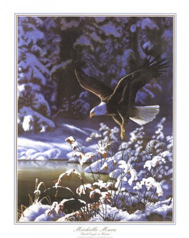 Eagle In Winter by Michelle Mara 22x28 Art Print Poster 704824