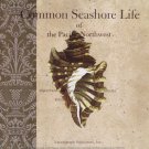 Seashore Life by  Unknown 8x8 Art Print Poster 748582