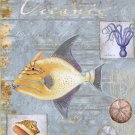 Oceanic - mini by Paul Brent 8x10 Art Print Poster 540588