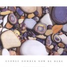 Now Be Here by George Dombek 40x20 Art Print Poster 194699