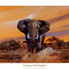 Charging Bull Elephants by Don Balke 20x16 Art Print Poster 498412