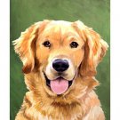 Dog Portrait-Golden by Jill Sands 13x19 Art Print Poster 865802