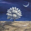 Albero dei sogni by Donato Larotonda 11.750x11.750 Art Print Poster 905747