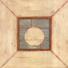 Sand Dollars On Blue by Stephanie Marrott 12x12 Art Print Poster 473845