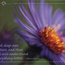 Look Deep by  Unknown 24x18 Art Print Poster 729916