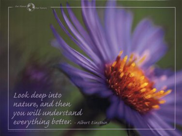 Look Deep by  Unknown 24x18 Art Print Poster 729916