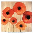 Orange Poppies II -Mini by Margaret Berg 13x13 Art Print Poster 933255