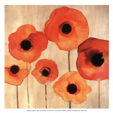 Orange Poppies II -Mini by Margaret Berg 13x13 Art Print Poster 933255