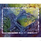 Twin Triggerfish by Sue Duda 28x22 Art Print Poster 196078