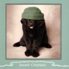 Smart Chapeau by Rachael Hale 36x12 Art Print Poster 538955