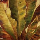 Uraba II by Patricia Pinto 24x24 Art Print Poster 660030