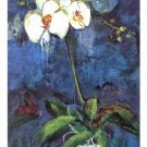 Phalaenopsis I by Connie Tunick 19.750x27.5 Art Print Poster 778774