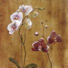 Orchid Bloom II by  Georgie 12x12 Art Print Poster 916238